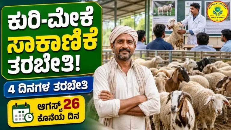 Sheep Farming Training